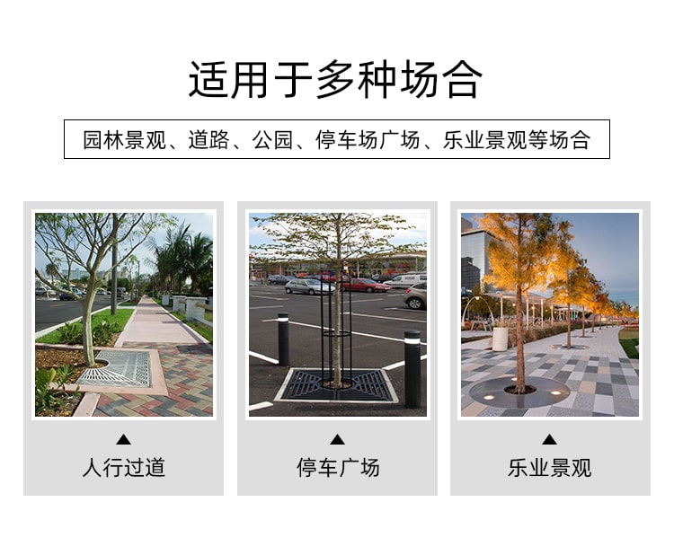 树篦子 (2).jpg